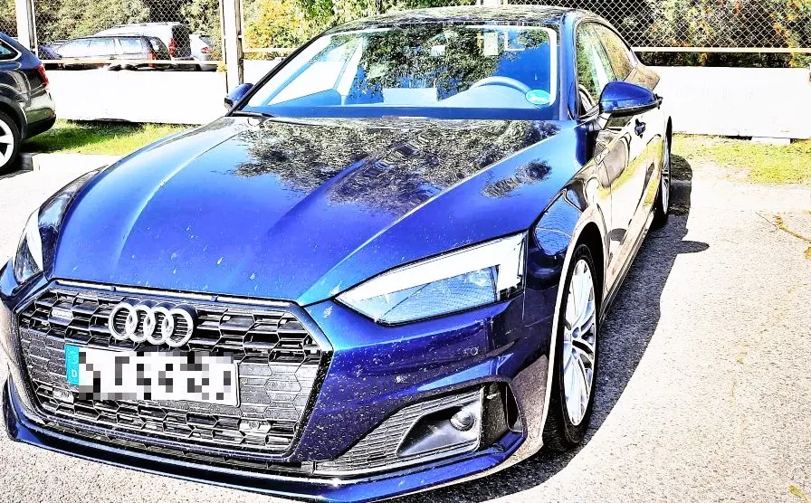 aud20230911 vogtas aut kalvar 3 pixs