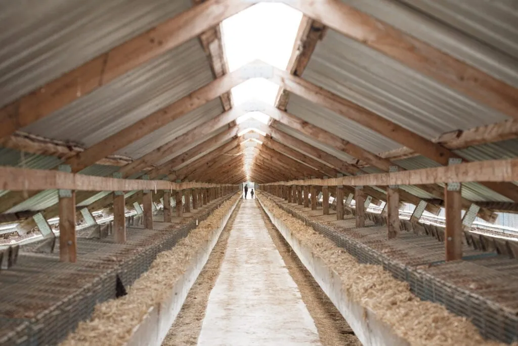 audin20190918 027 1024x683 1