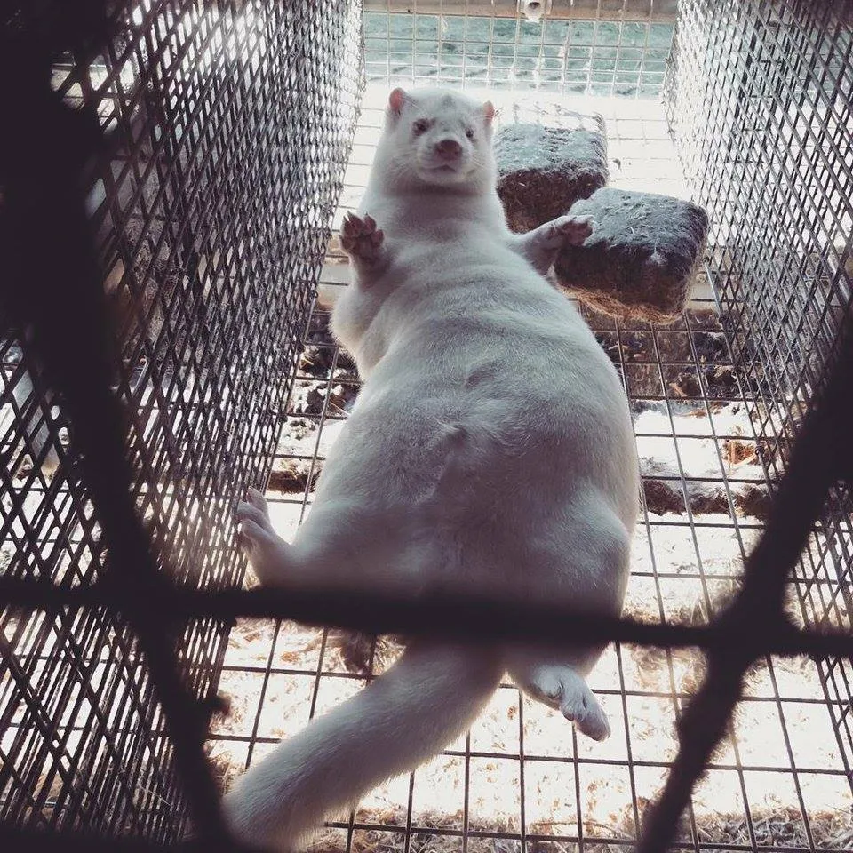 audin22091574 10155613423322508 625494135 n