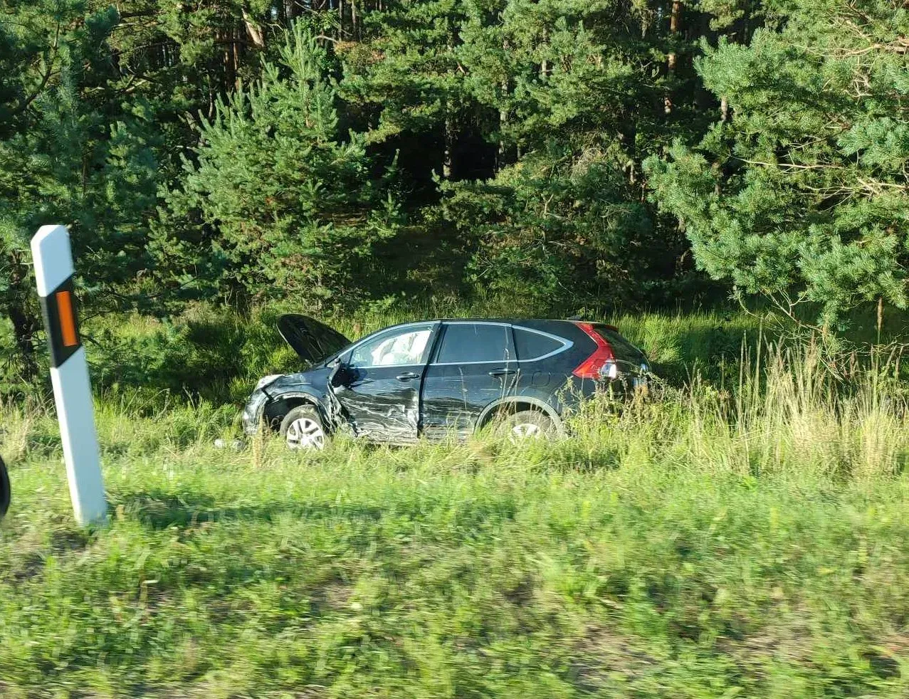 ava367397842 831962415184748 1987737578068326887 n jpg