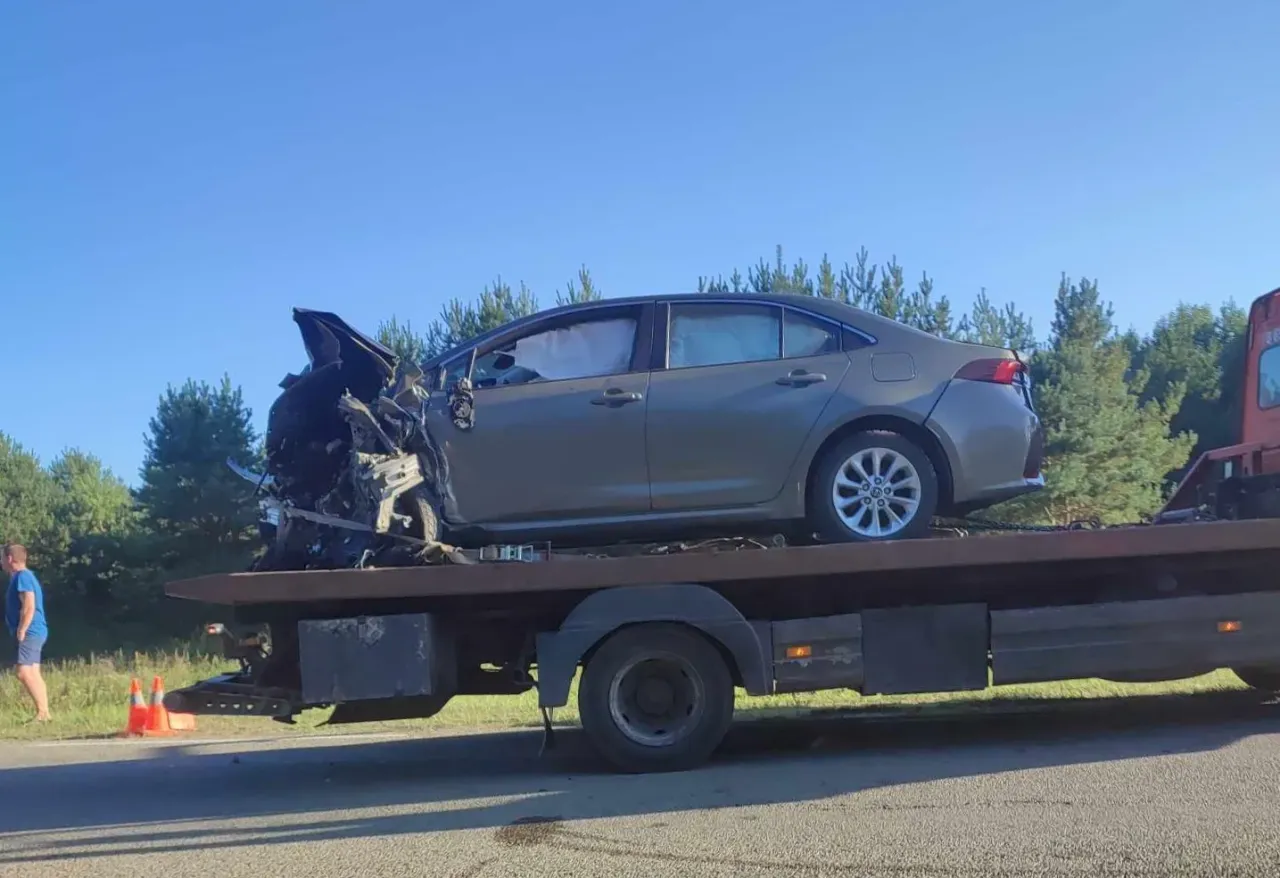 ava367431238 831962351851421 4265885671271346301 n jpg