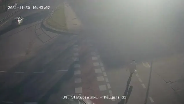 avamo255387358 326997755510517 3040383060136414329 n