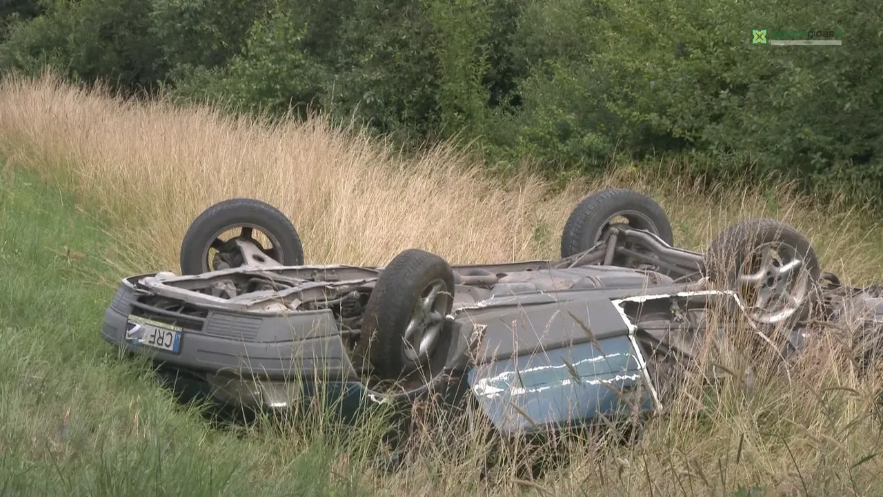 avarimg 222300 00 26 00still004