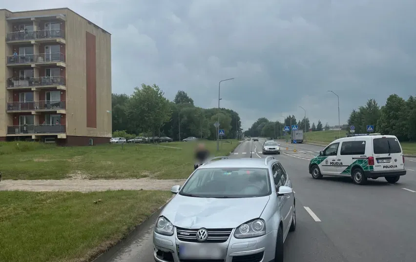 avarpolsta4287 2525 9726974961e29071ce9df2f8e6cfdea6 jpg