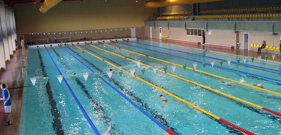 bas70932071 2733946923337377 2959834810337460224 n