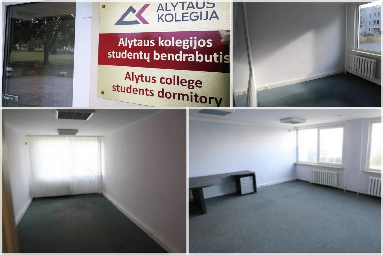 befunky sample 2022 08 29t122730127