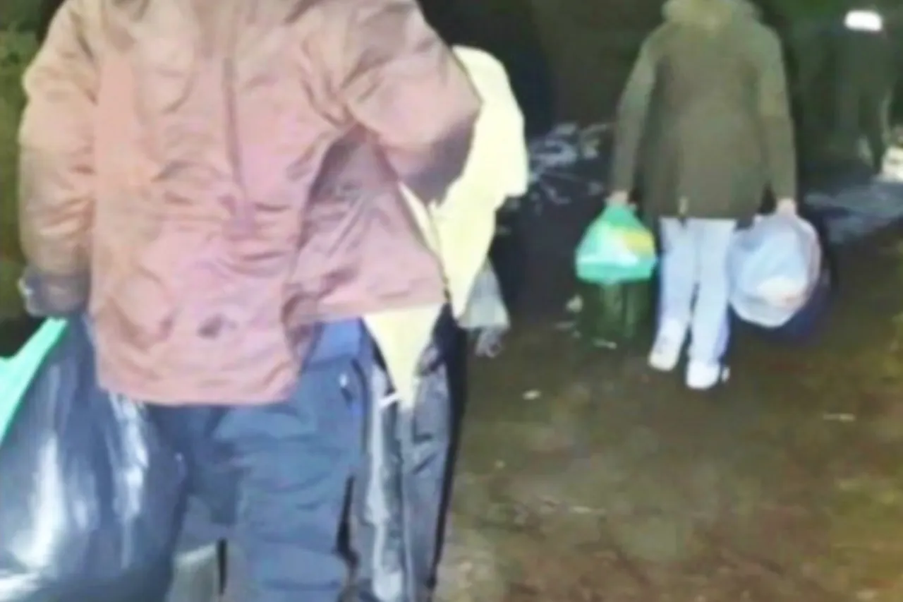 befunky sample 2023 01 24t124549972