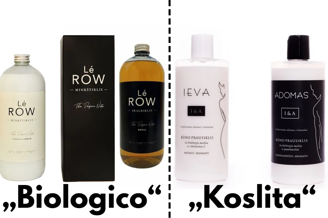 befunky sample 2023 02 11t195922206