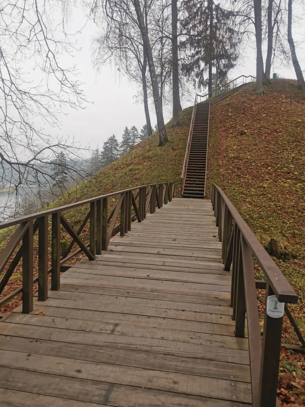 birstvytimg 20211117 144210 jpg