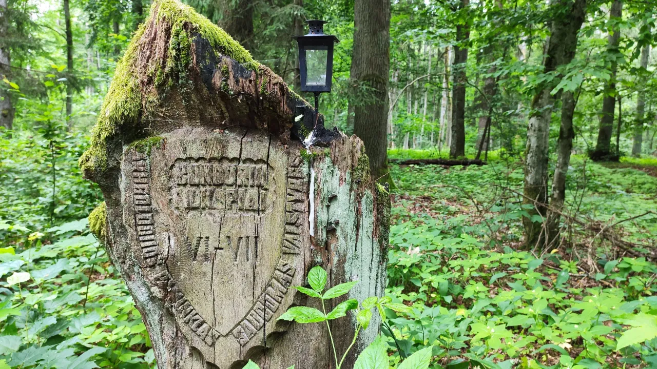 bunimg 20200705 115258 scaled