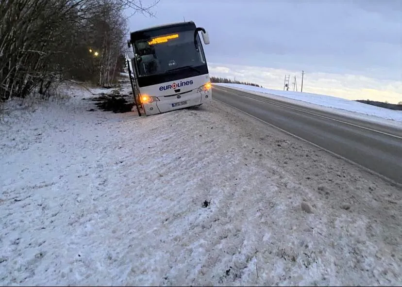 bus272039862 10226858177750820 5060286036998545388 ns