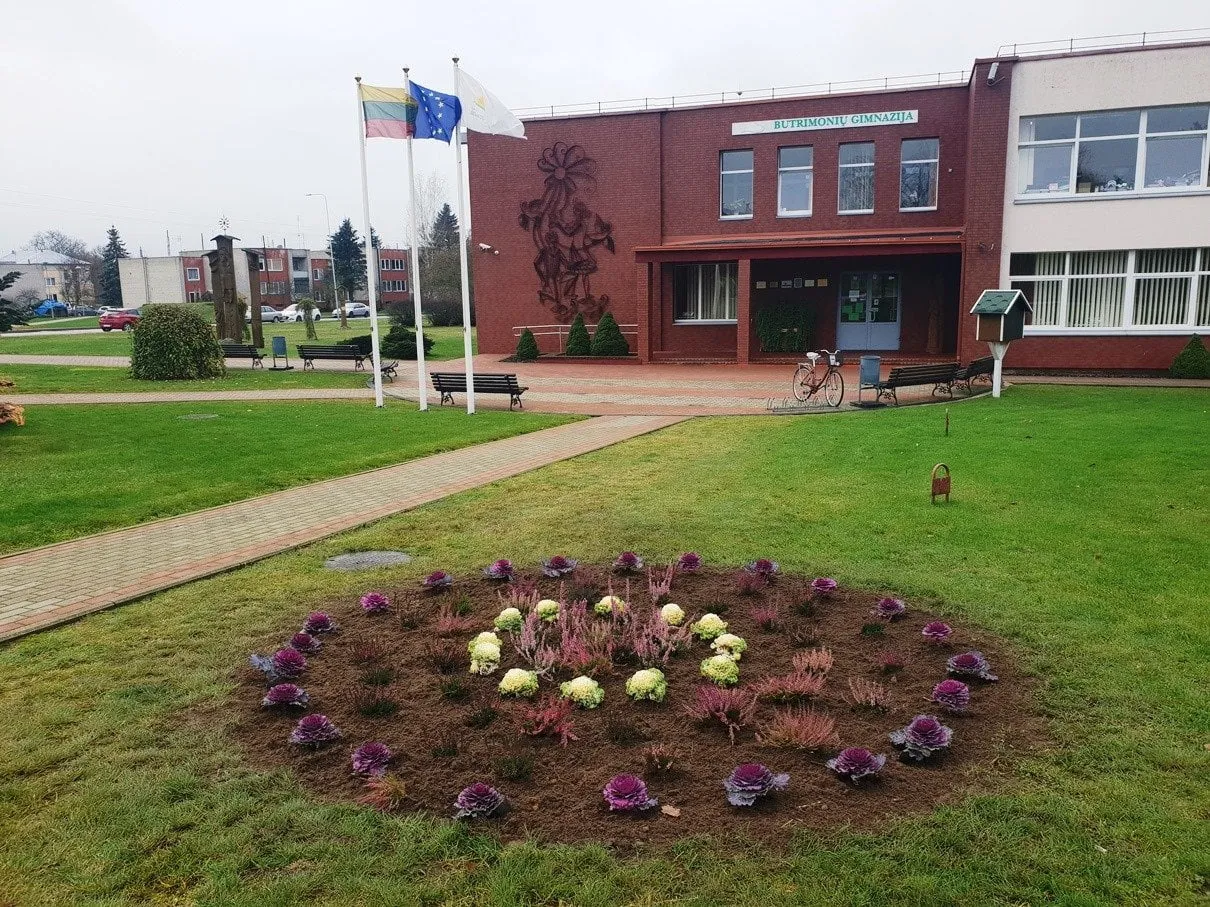 butr162616718 185473446716538 8542997436739000341 n