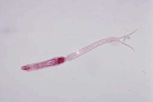 cerkar4c23da055011d67748da2d7e4db6a4f7