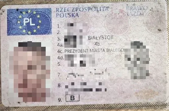 ci20230327 svet dok raig 3 pix jpg