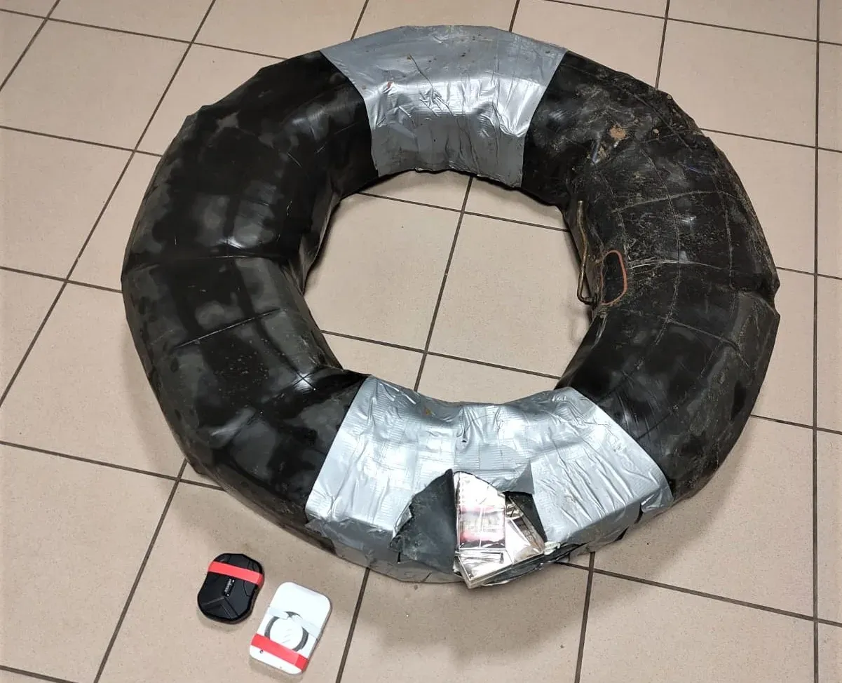 cig20230117 cig kamera nemune 5 1 jpg