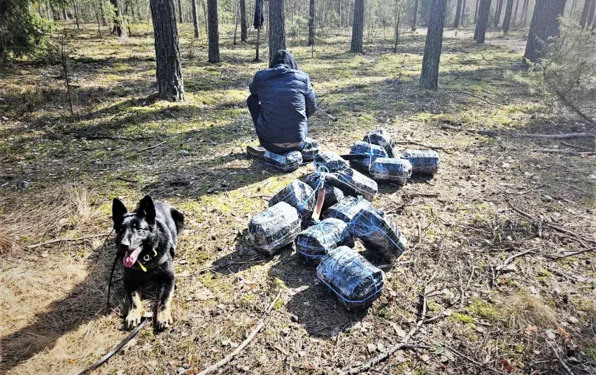 cig225 4597e396e4246b23eddb895609d797ab jpg