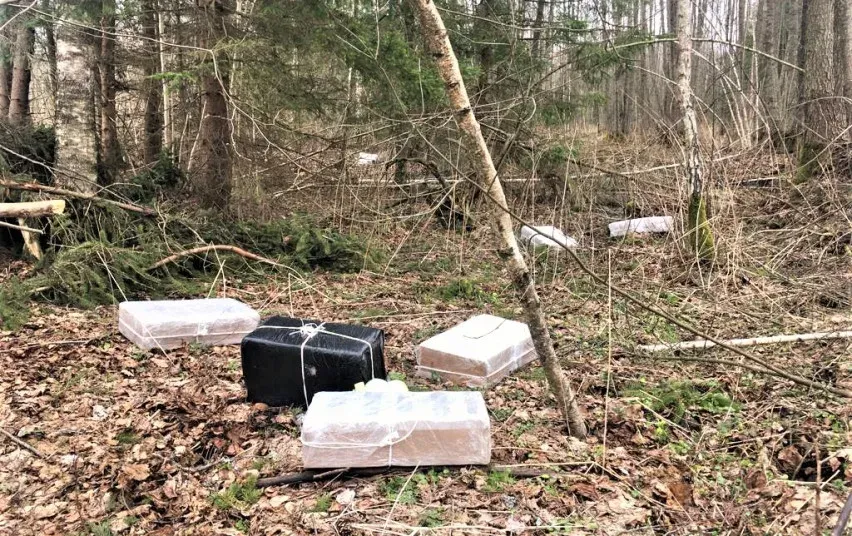 ciga263 41c62e7a8f9403de409a51479e2b3320 jpg