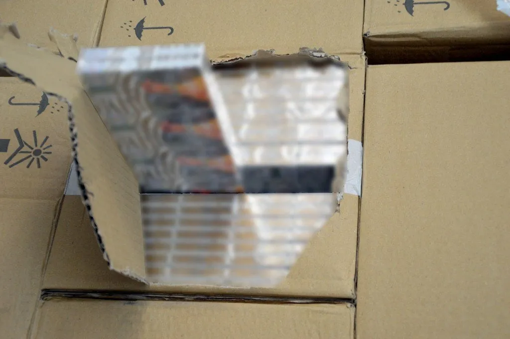 cigvata1c026ad76ae436bb609adf9c5e0c07d4