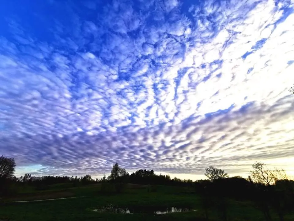 daeb dal v184290494 10222633969536379 1806937844684085101 n