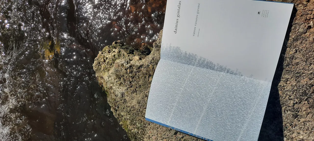 daingin207627559 4108465595901053 8528842482127305700 n