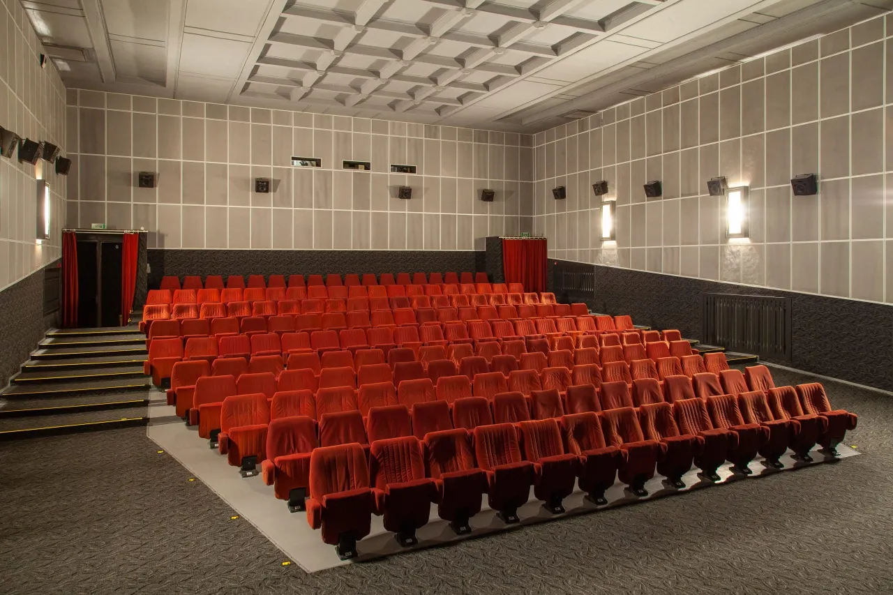 dainkinsalalytus2 scaled 1