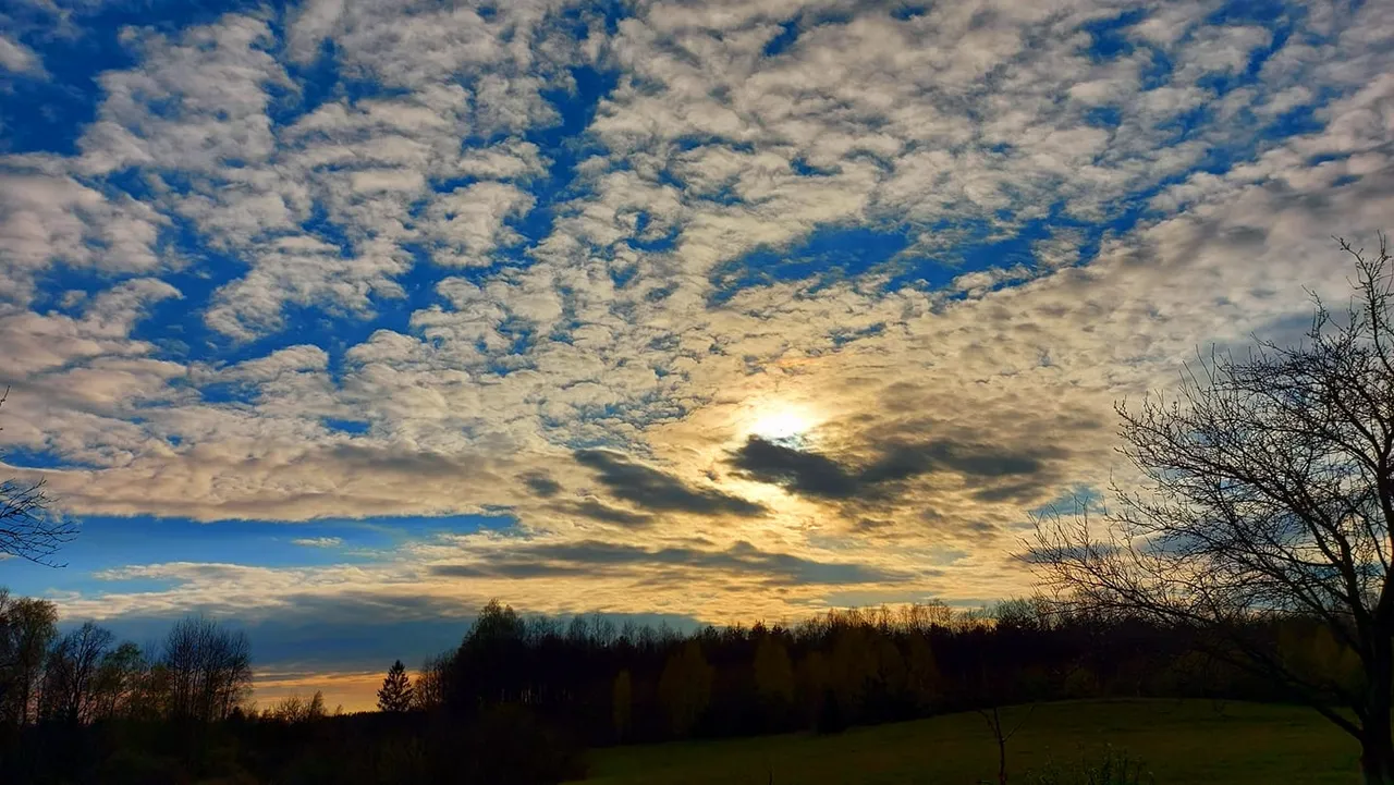 dangalov184035540 2937220189900893 7962403955124509319 n