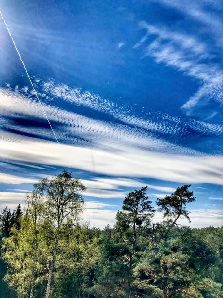 dangeva184183729 4100246003329825 1102448634945324118 n