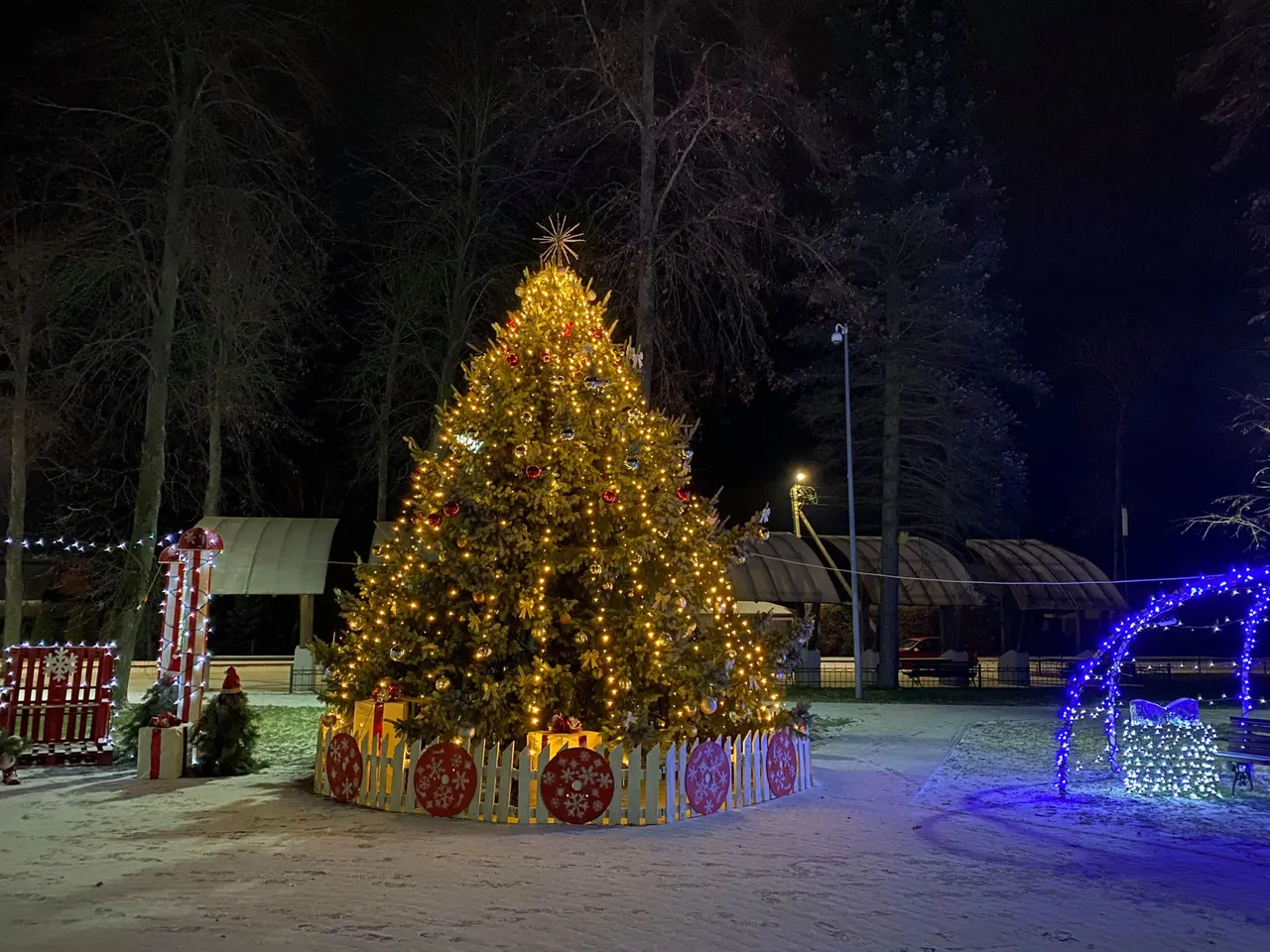 daugu131565659 2941639336054833 3823489602899131224 n