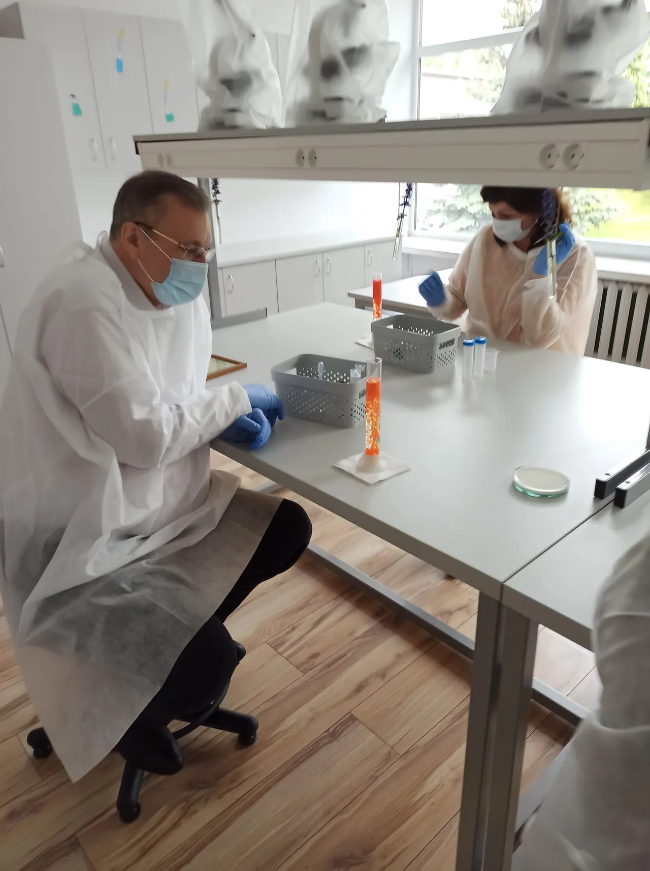 dauks195078966 1417224038640085 8445325684175009299 n