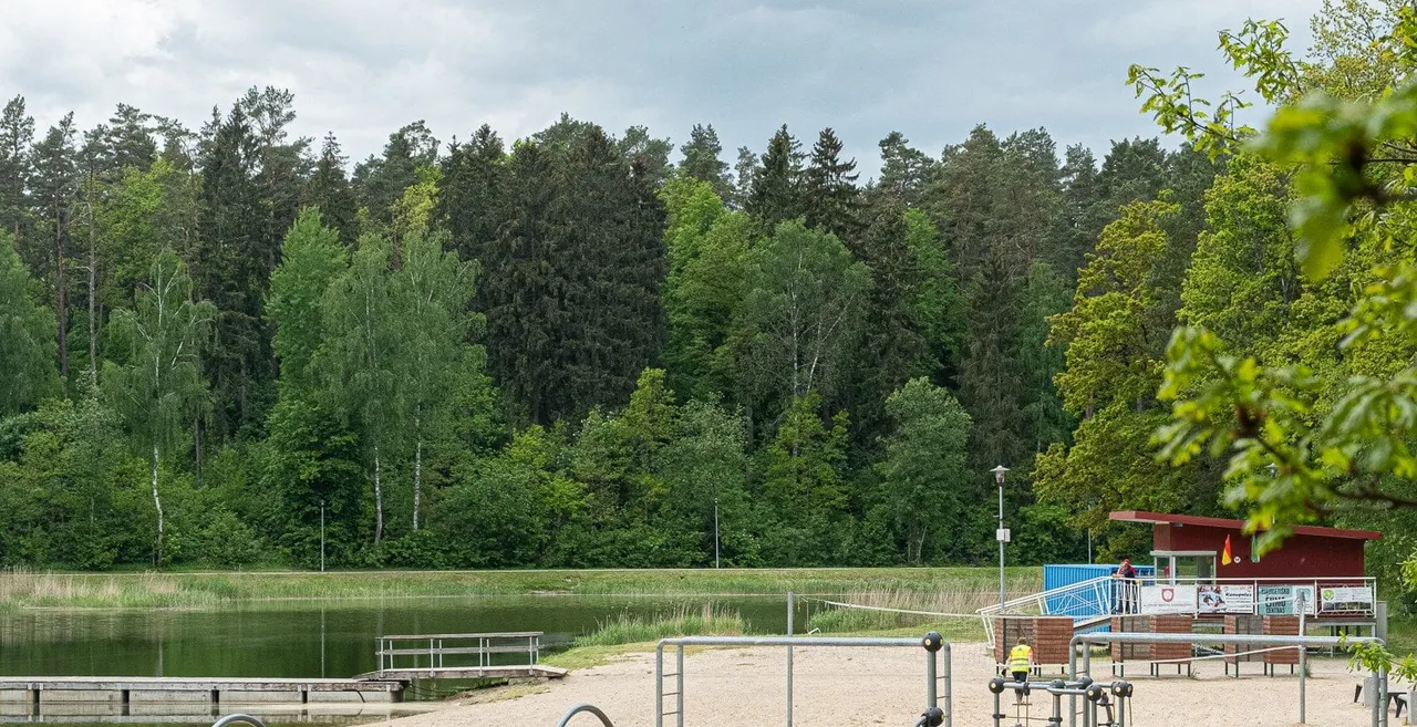 didzioji dailide ams nuotr 4s