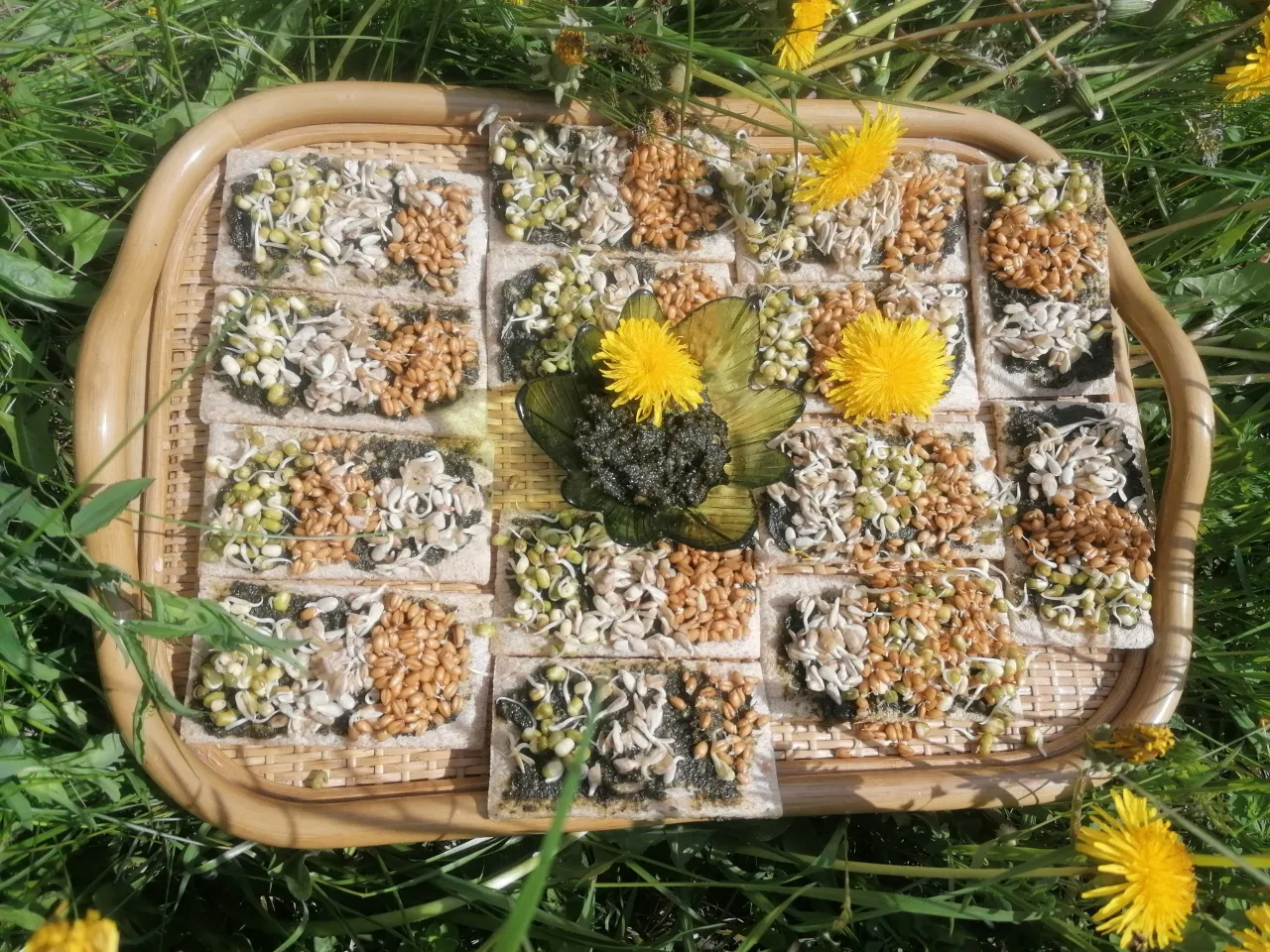 dilgeliu ir pieniu pesto scaled