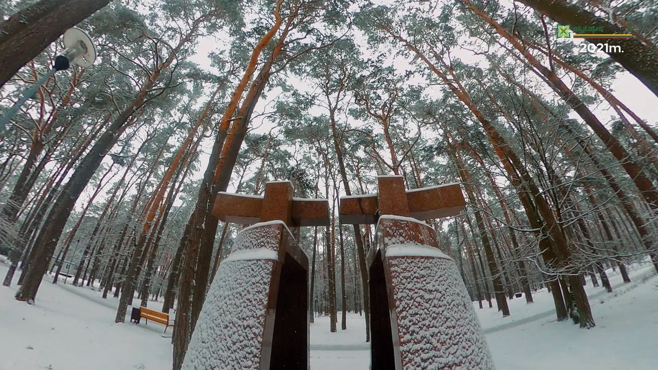 dji 021900 02 10 05still001