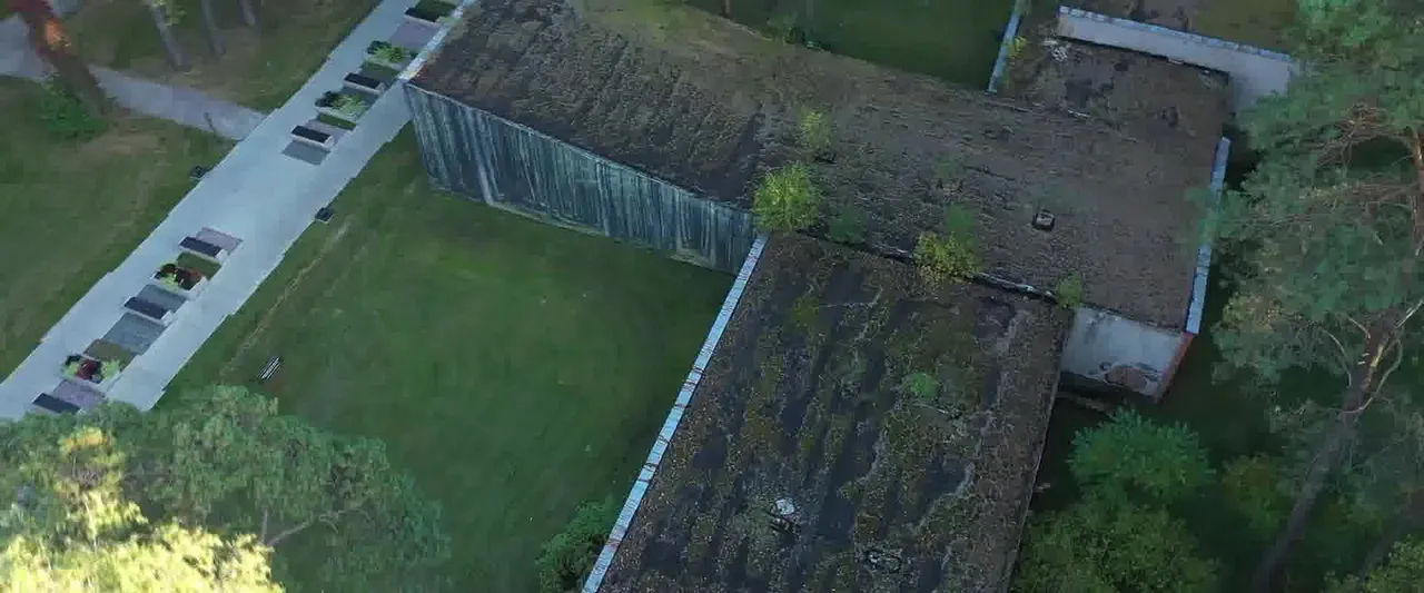 drudin174790181 172597604722420 6220470337368429428 n