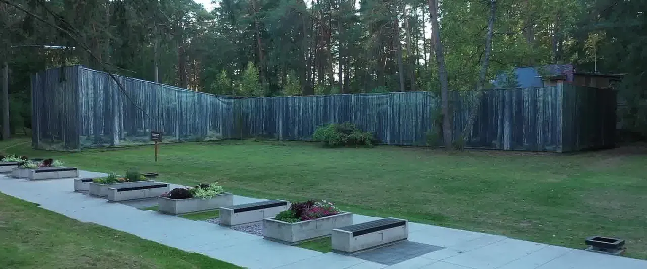 drudin175688910 172597574722423 2886177136194844791 n