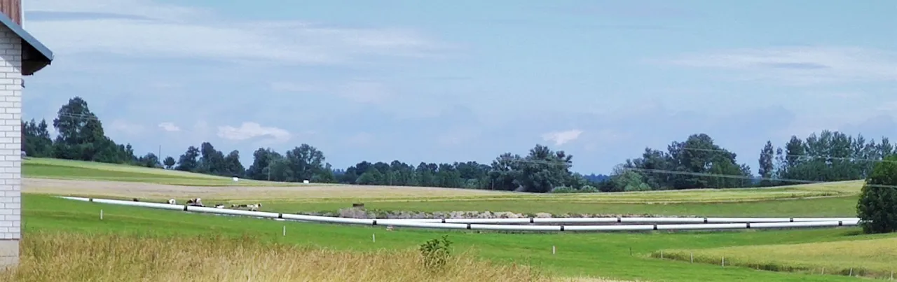 dujimg 20200705 122125