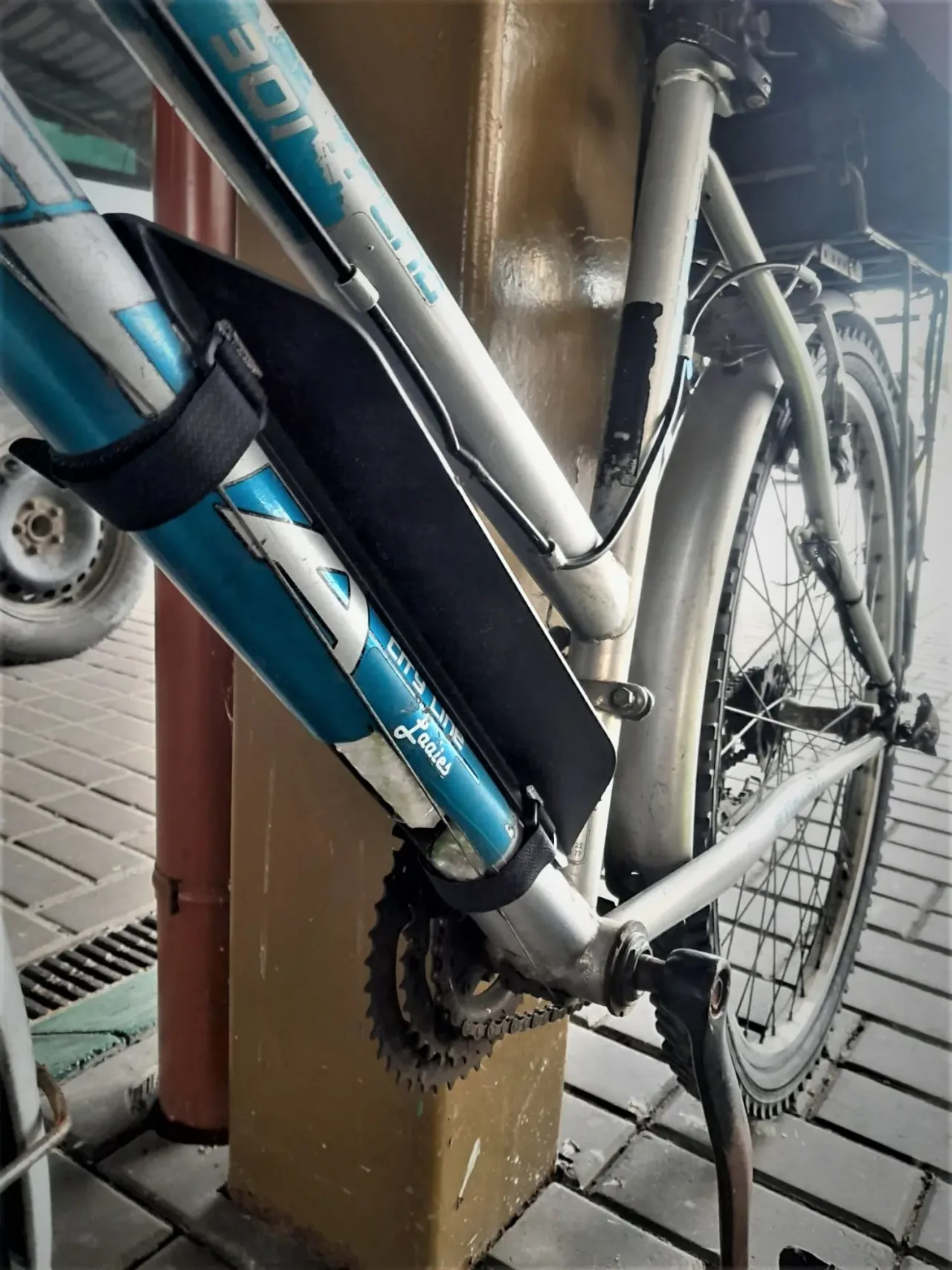 dvirem20230515 cig dvir raig 5 jpg