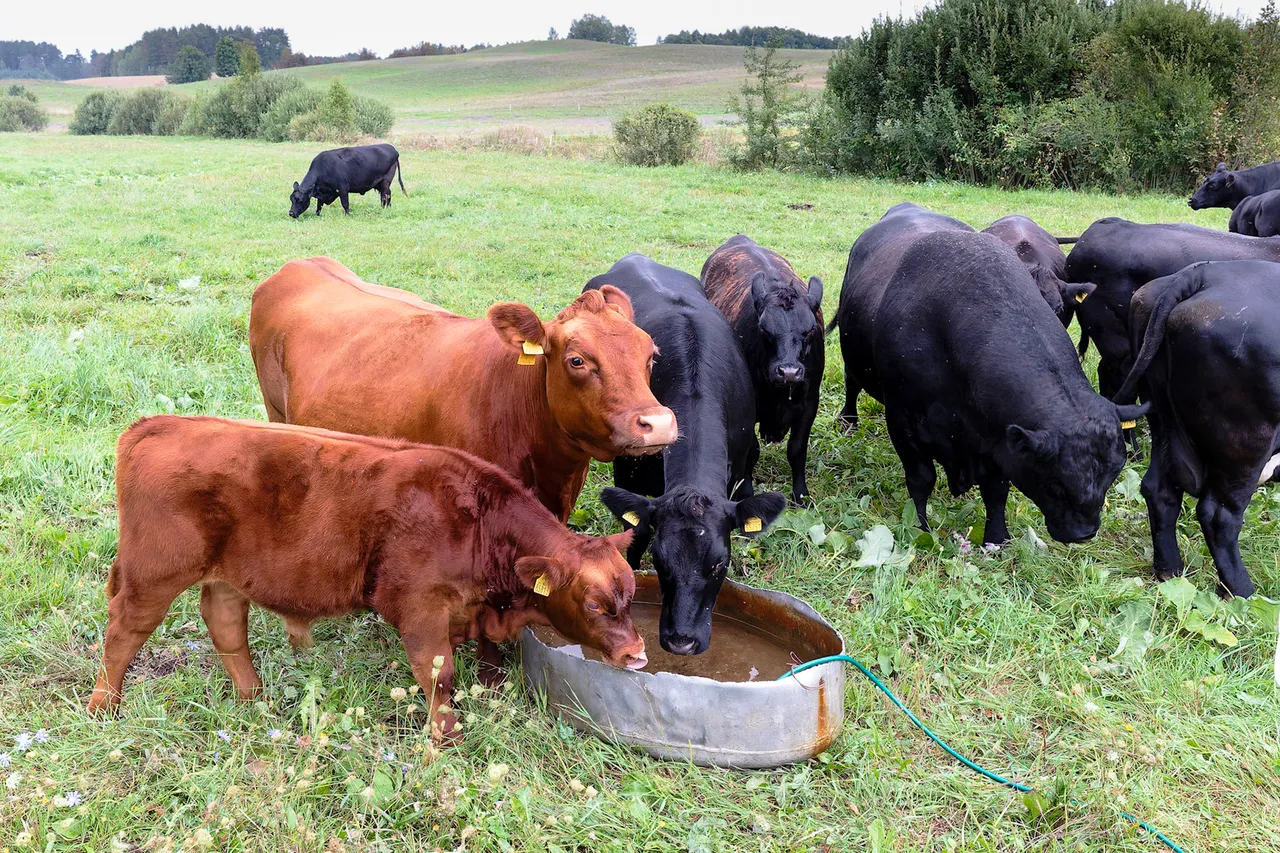 edmundo h jastramsko seimos ekologinis ukis
