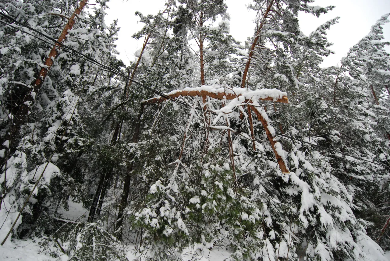 eso sniego padariniu salinimas 1 scaled