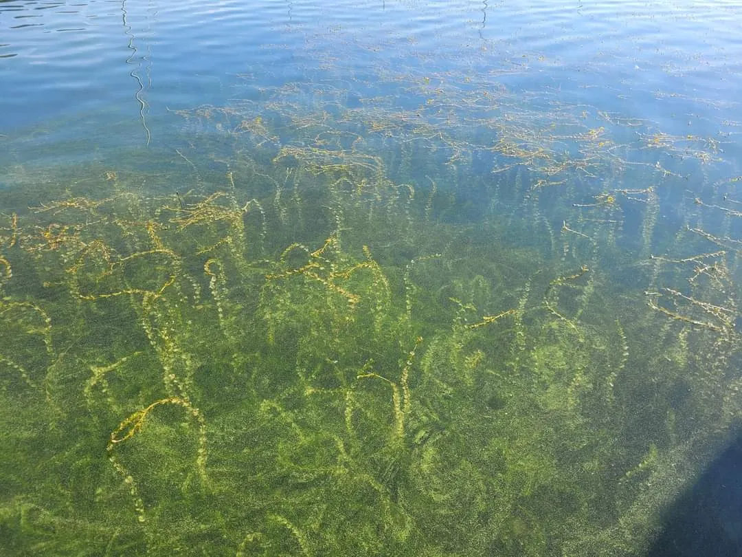 fb img 1659627754513