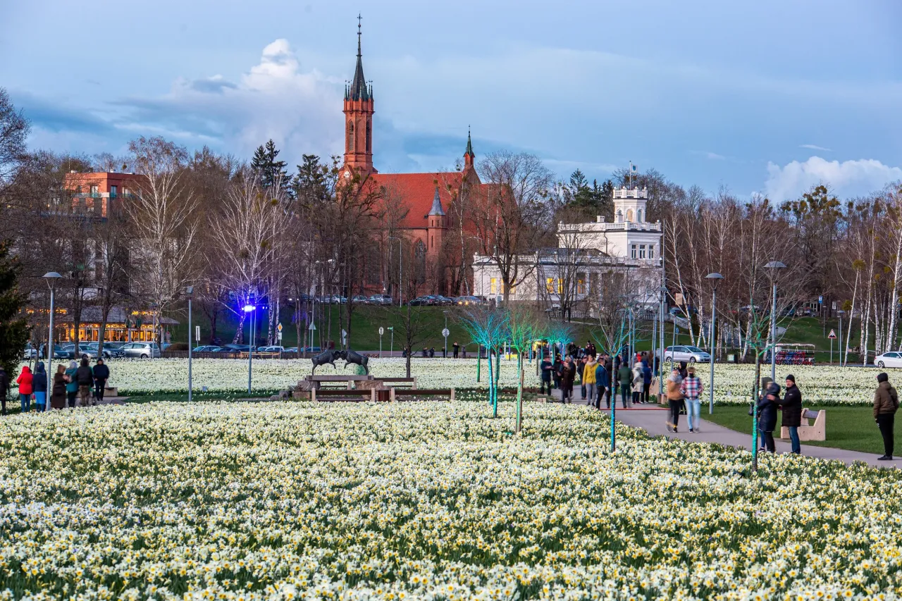 foto a lukosevicius jpg