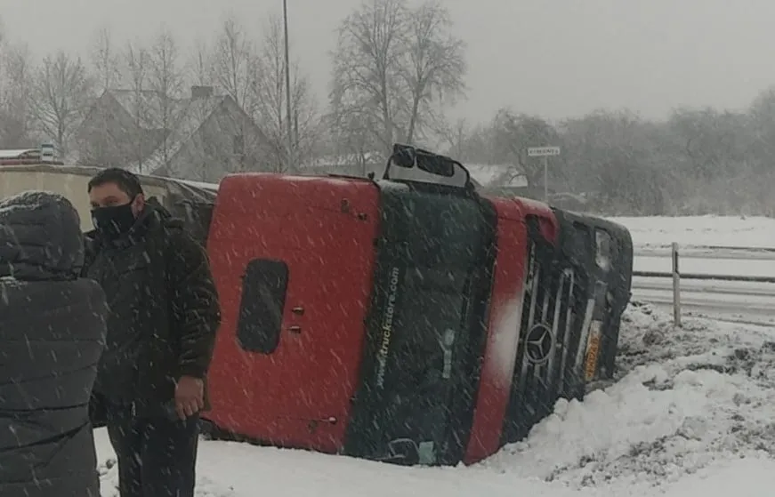 furbum143267298 3957299924289330 2ss043922926100732254 o