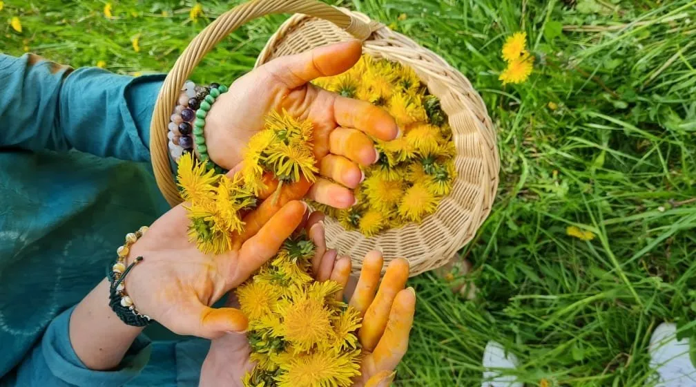 geltonas pieniu kremas rotated