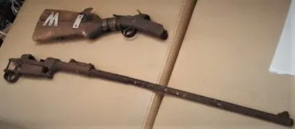 ginkmerk195357305 1152996385167739 5569359293250447538 ns