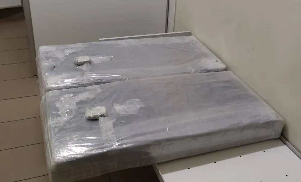 gps1213 plaustas2 55309