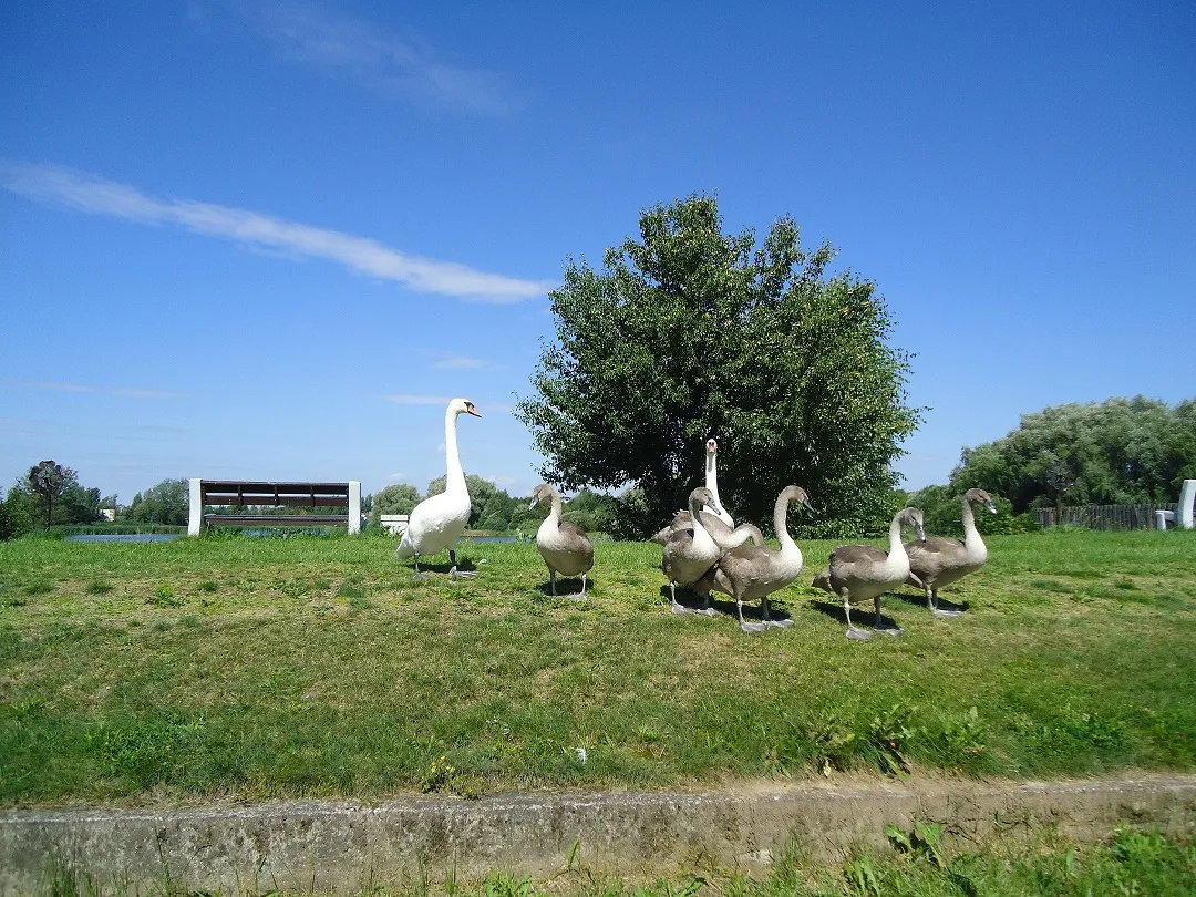 gulb18777 0b8756d51aabdf58d2c8ce361ae2fd64