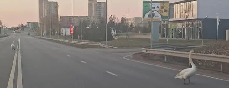 gulb289998217 5709165605777904 5930059591203246653 n