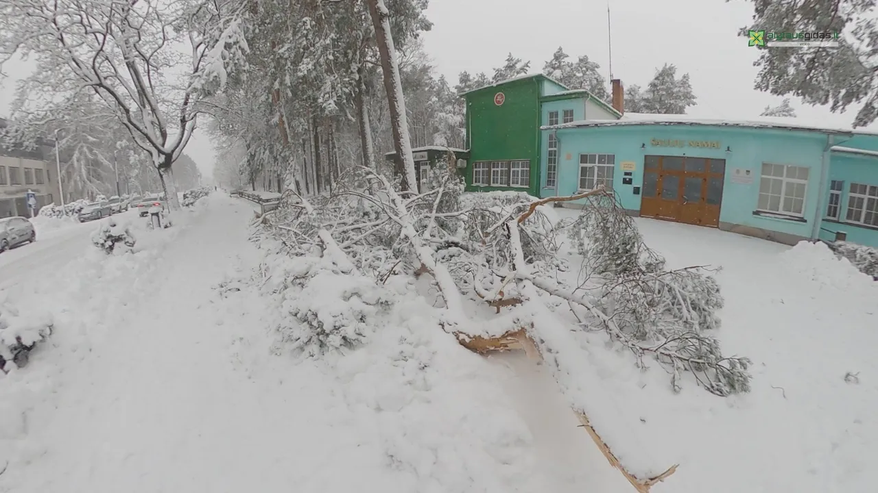 gx01010700 00 15 38still004