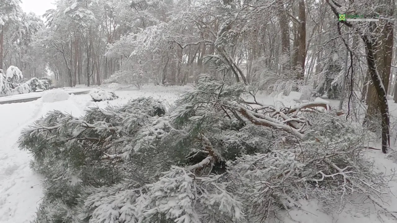 gx01010700 01 28 16still014