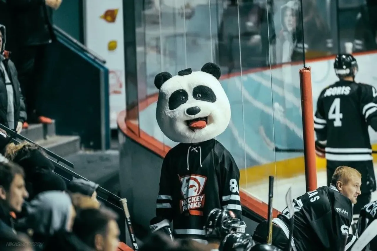hockey punks pankas panda jpg