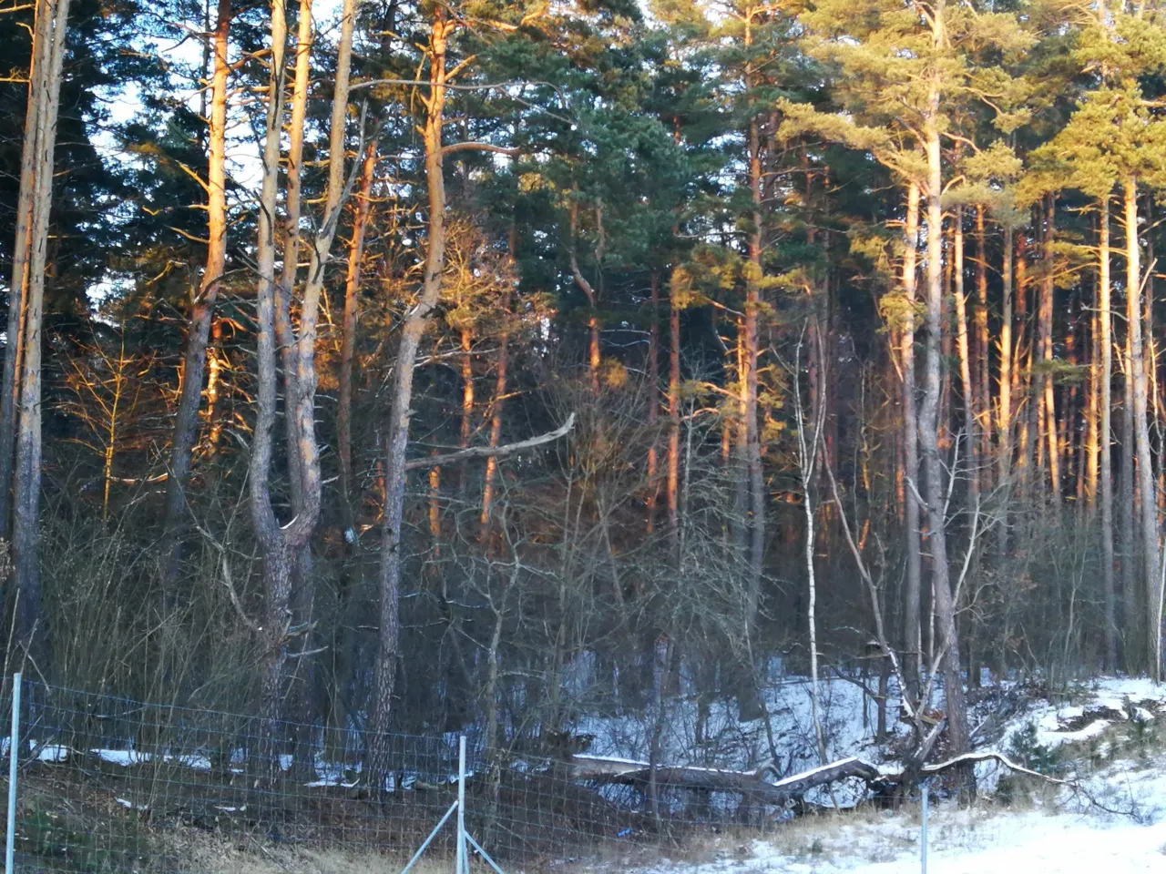 img 20180304 172225 scaled